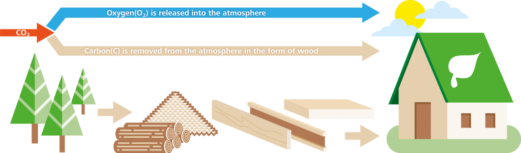 Image showing the emissions and absorption of CO2 and carbon from timber through the process from the tree to construction of a house